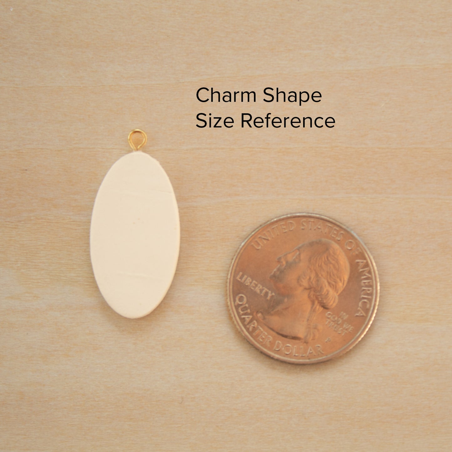 Goose Charm - CHARM16