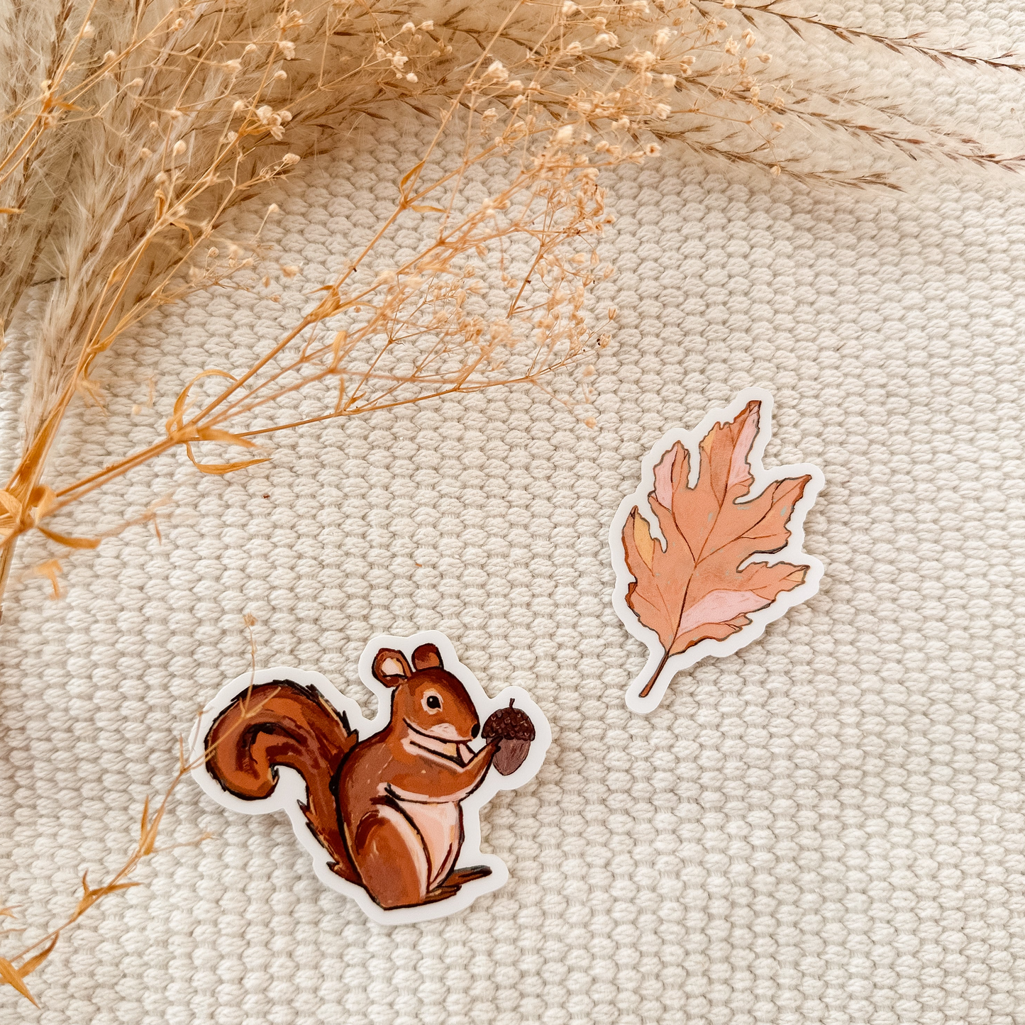 Squirrel Waterproof Sticker