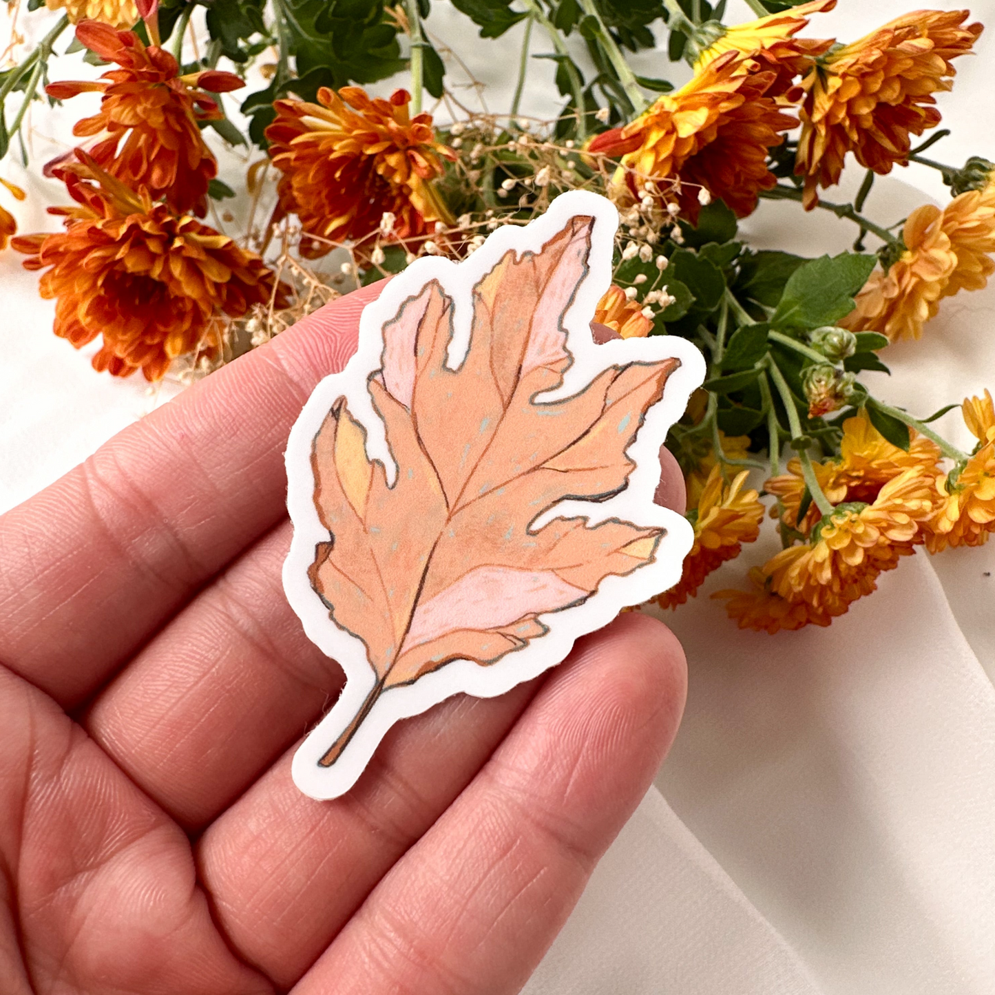 Squirrel Waterproof Sticker