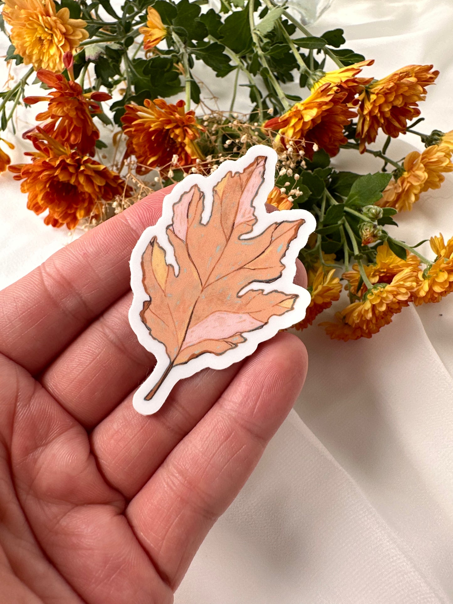 Mushrooms and Snails Waterproof Sticker
