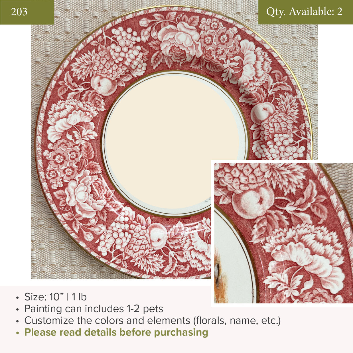 Plate 203 | Red Rim| 10" | Fits 1-2 Pets | 2 available