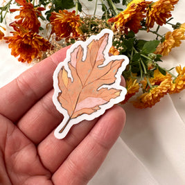 Mushrooms and Snails Waterproof Sticker