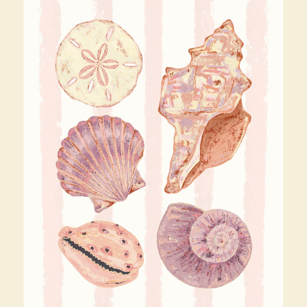 Seashells | 8x10 Print