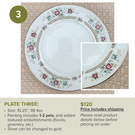 Custom Painted Pet Portrait Plates