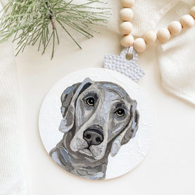 Custom Pet Ornaments